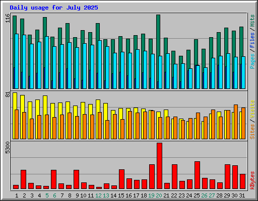 Daily usage for July 2025