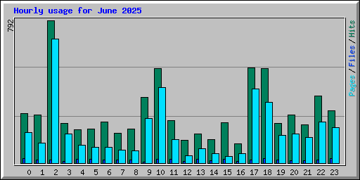 Hourly usage for June 2025