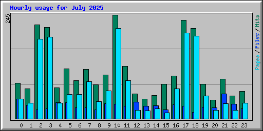 Hourly usage for July 2025