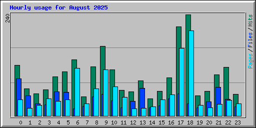Hourly usage for August 2025