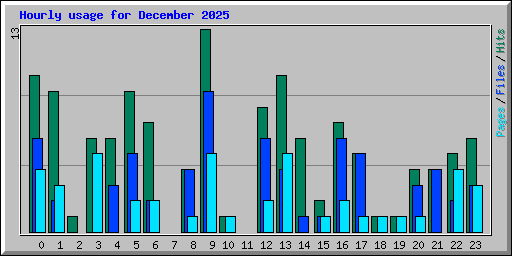 Hourly usage for December 2025